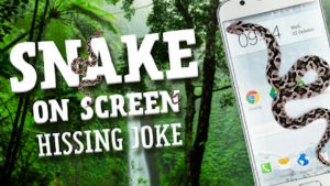 A snake is crawling on the screen of your phone