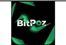 Photo of BitPoz Apk | Create Trendy Video Story, Status & Reels |